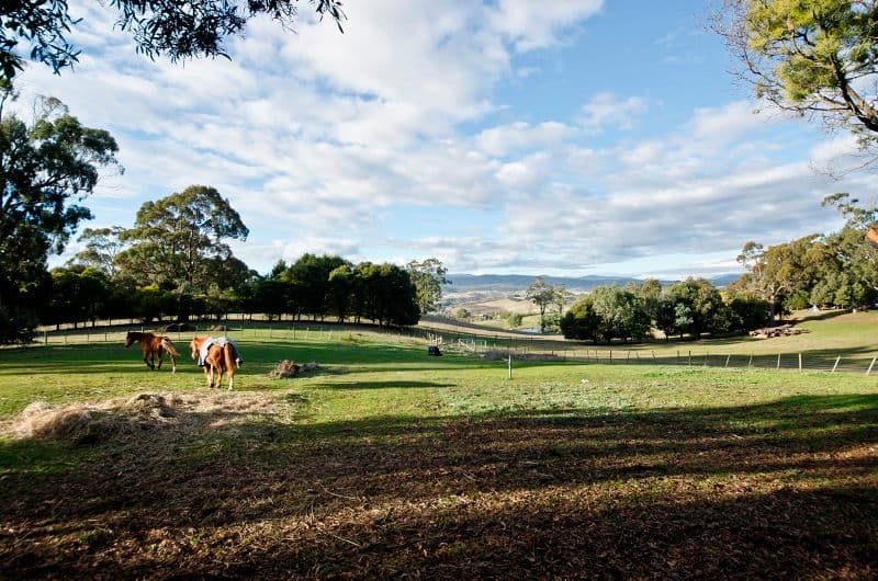 461 Glenwood Road, RELBIA TAS 7258, Relbia - Thumbnail 4