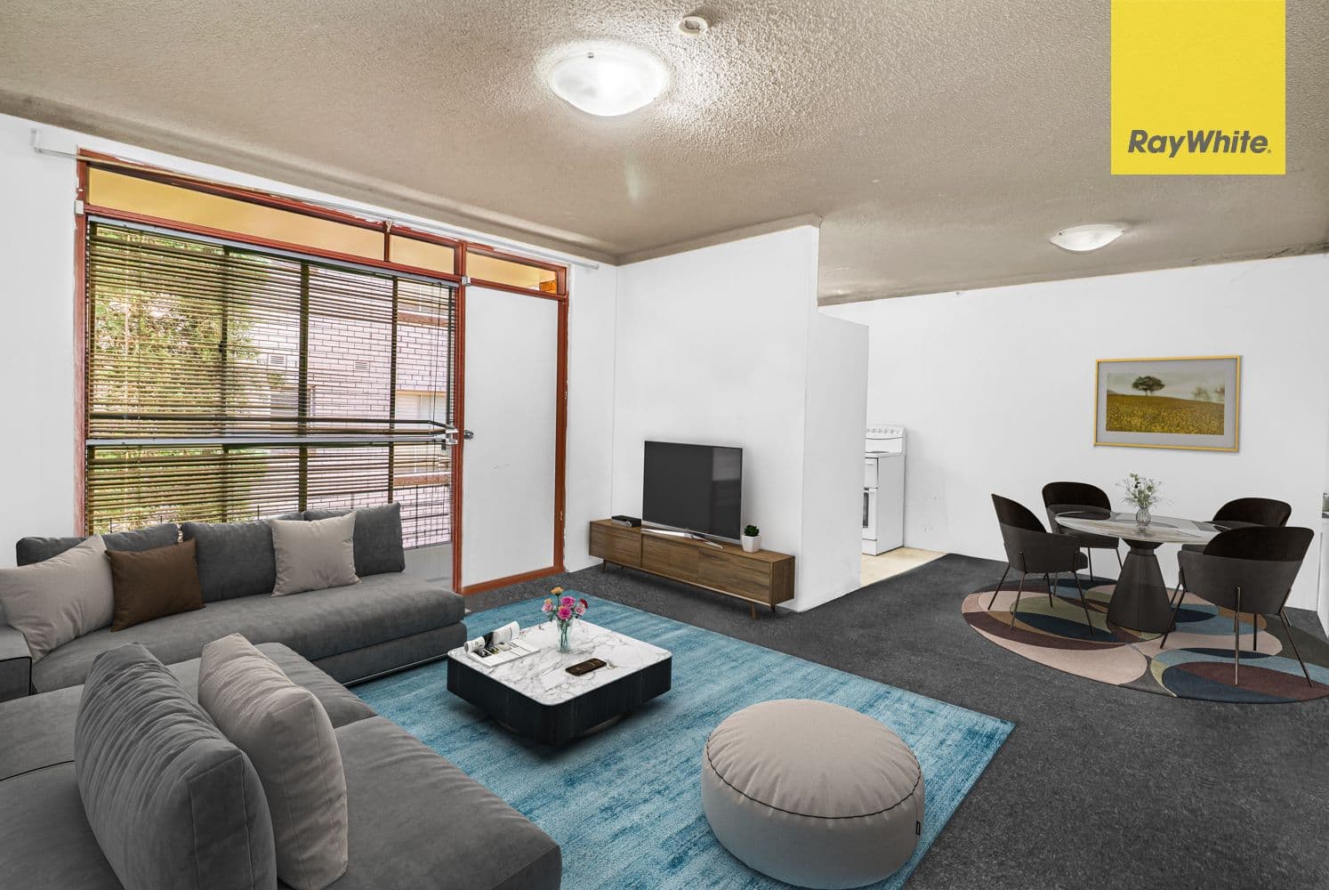 28 Hampstead Road, Homebush NSW 2140, Homebush West - Thumbnail 4