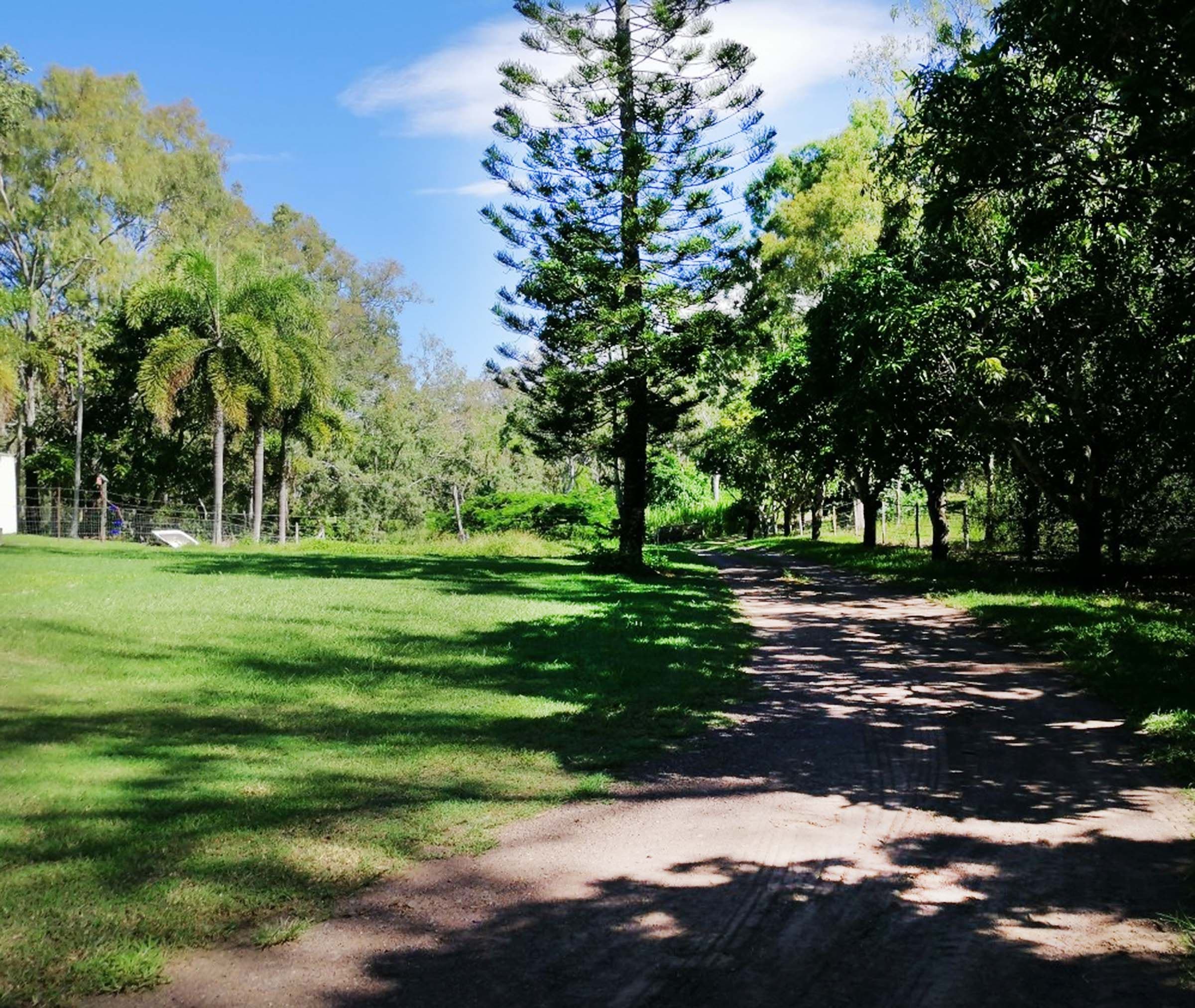1109 Sarina Beach Road, Sarina Beach QLD 4737, Sarina Beach - Thumbnail 2