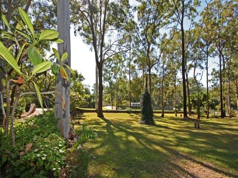 15 Mirambeena Drive, PIMPAMA QLD 4209, Pimpama - Thumbnail 5