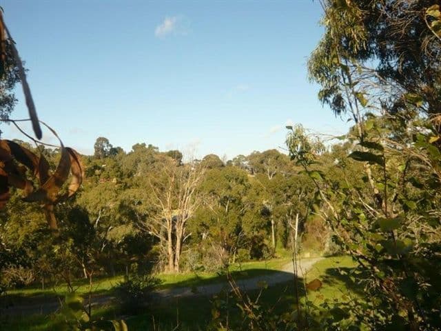 3 Pitanda Road, BANKSIA PARK SA 5091, Banksia Park - Thumbnail 3