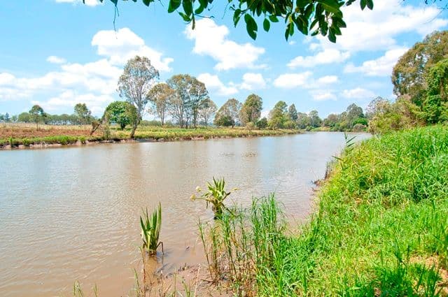 25 Mercury Drive, Bethania QLD 4205, Bethania - Thumbnail 2