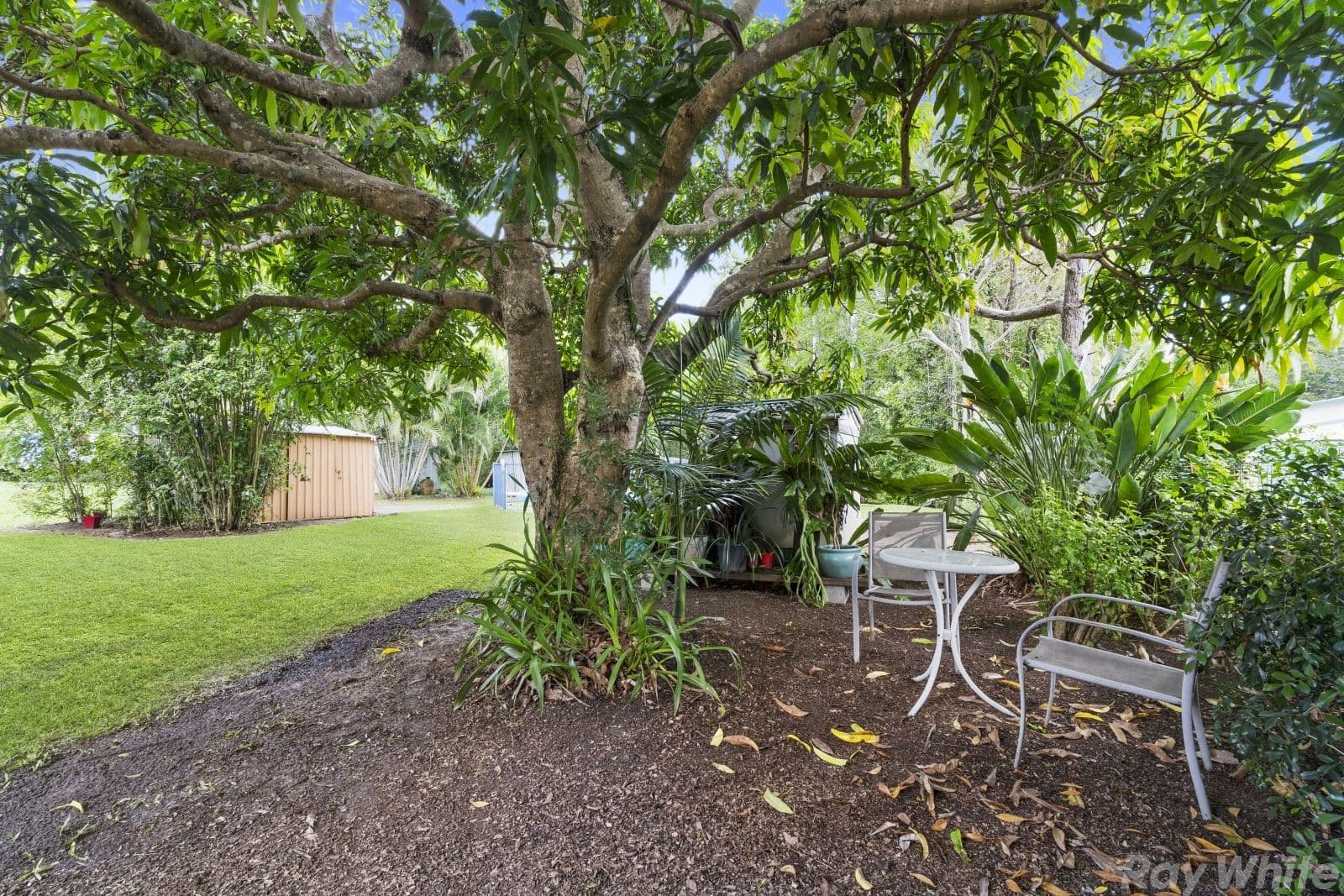 35 Marlene Street, Bellmere QLD 4510, Bellmere - Thumbnail 4