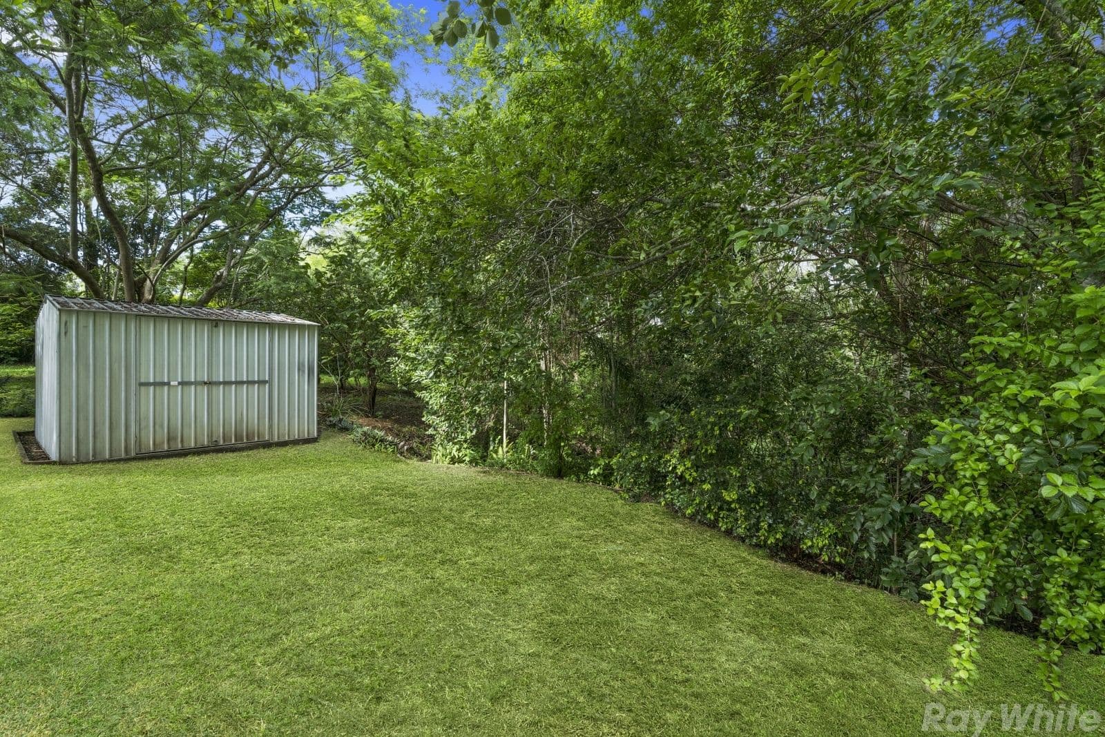 35 Marlene Street, Bellmere QLD 4510, Bellmere - Thumbnail 5