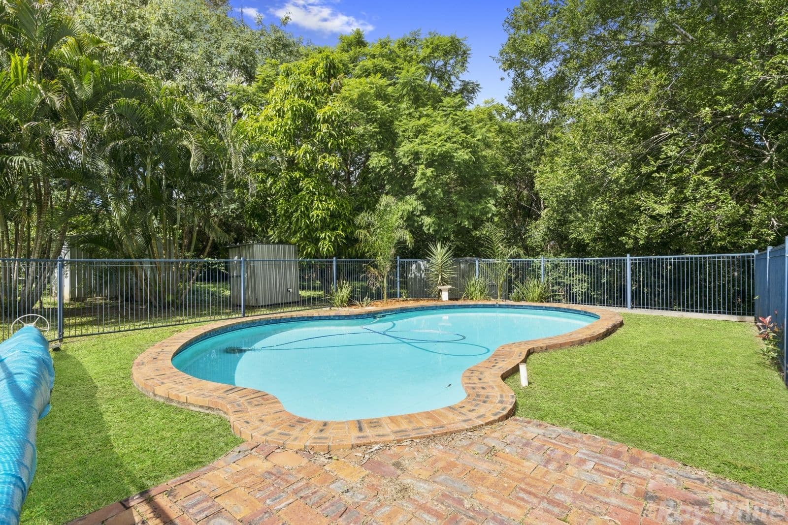 35 Marlene Street, Bellmere QLD 4510, Bellmere - Thumbnail 6