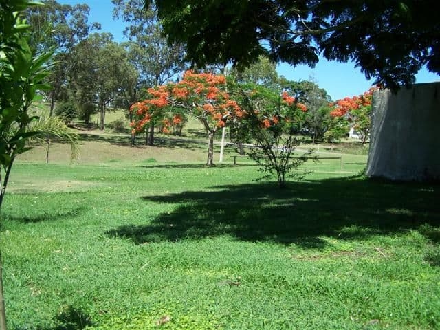 1 Cannan Street, MOUNT LARCOM QLD 4695, Mount Larcom - Thumbnail 5