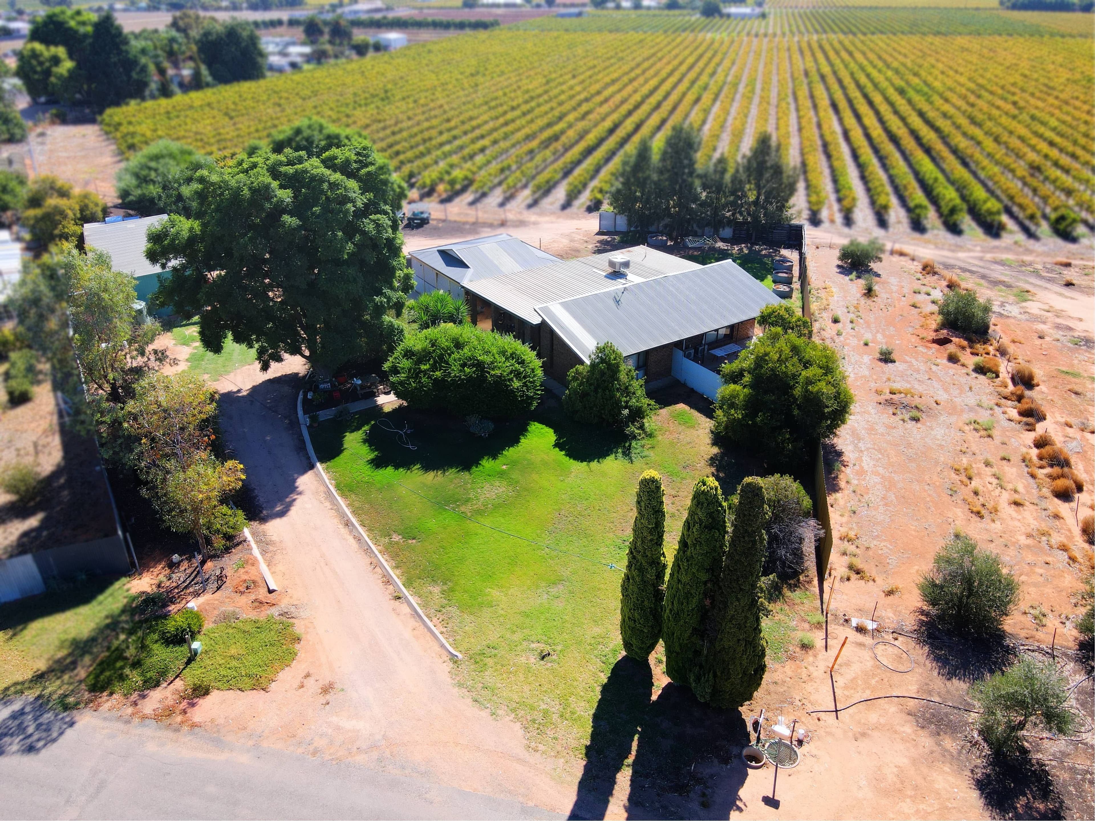 40 Twentyfourth Street, Renmark SA 5341, Renmark - Image 1