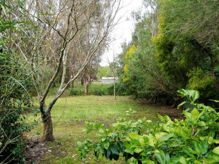 Lot 3 Kearney Street, Nannup WA 6275, Nannup - Thumbnail 2