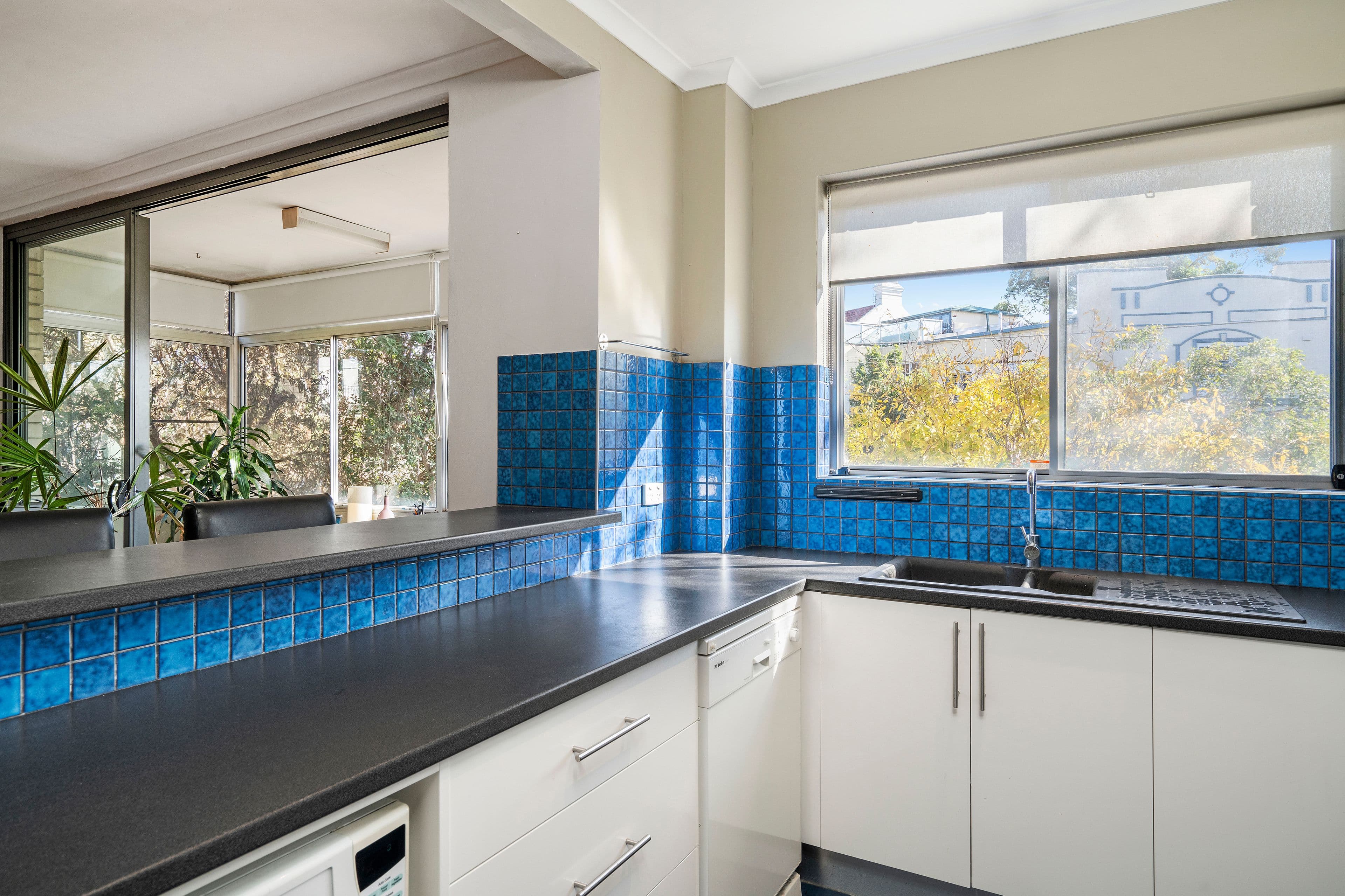 2-4 Fern Street, Randwick NSW 2031, Randwick - Thumbnail 2
