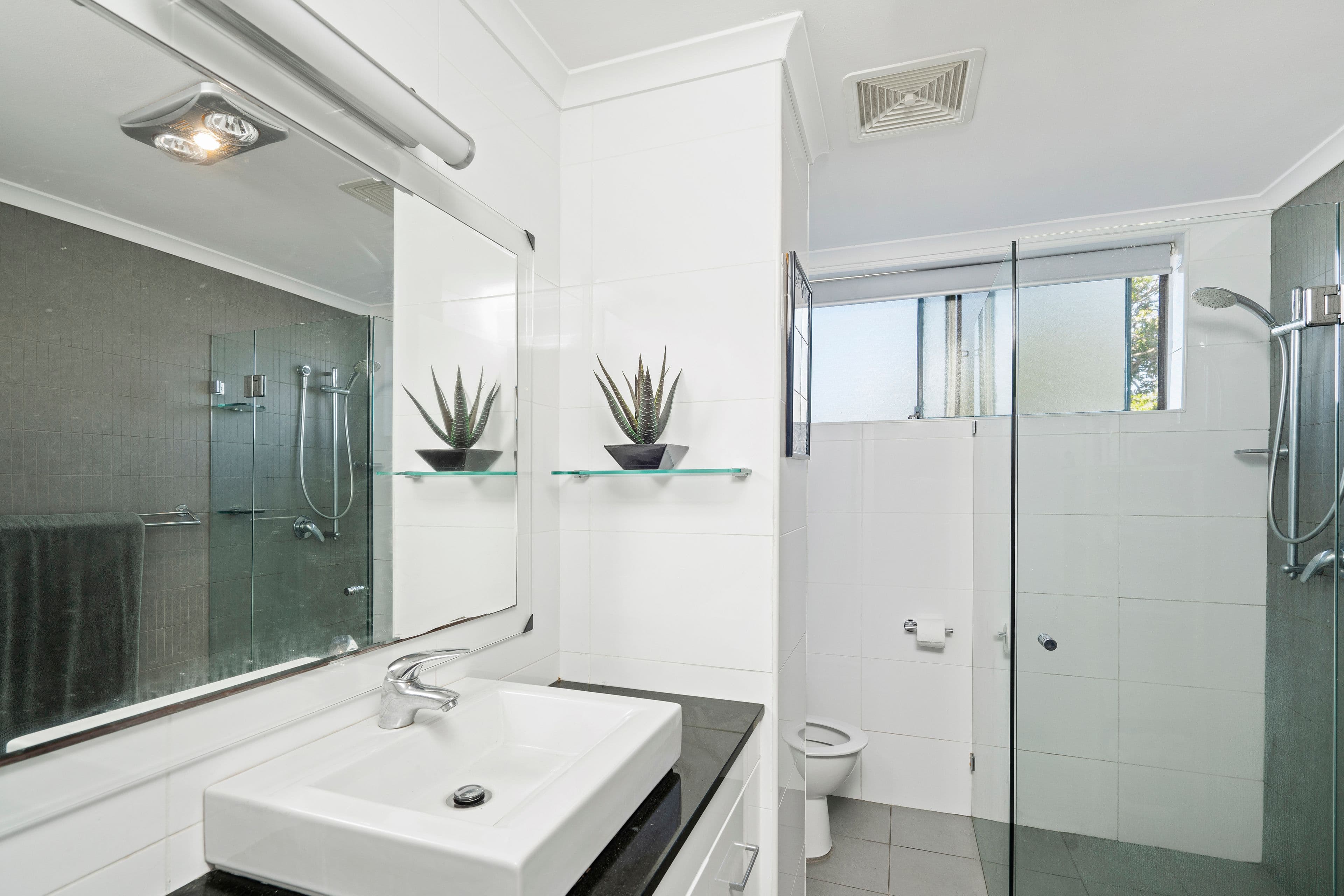 2-4 Fern Street, Randwick NSW 2031, Randwick - Thumbnail 4