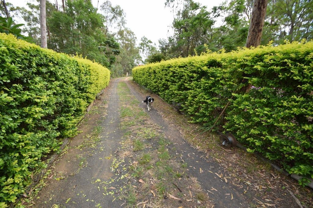 3245 Gatton Esk Road, Esk QLD 4312, Esk - Thumbnail 5