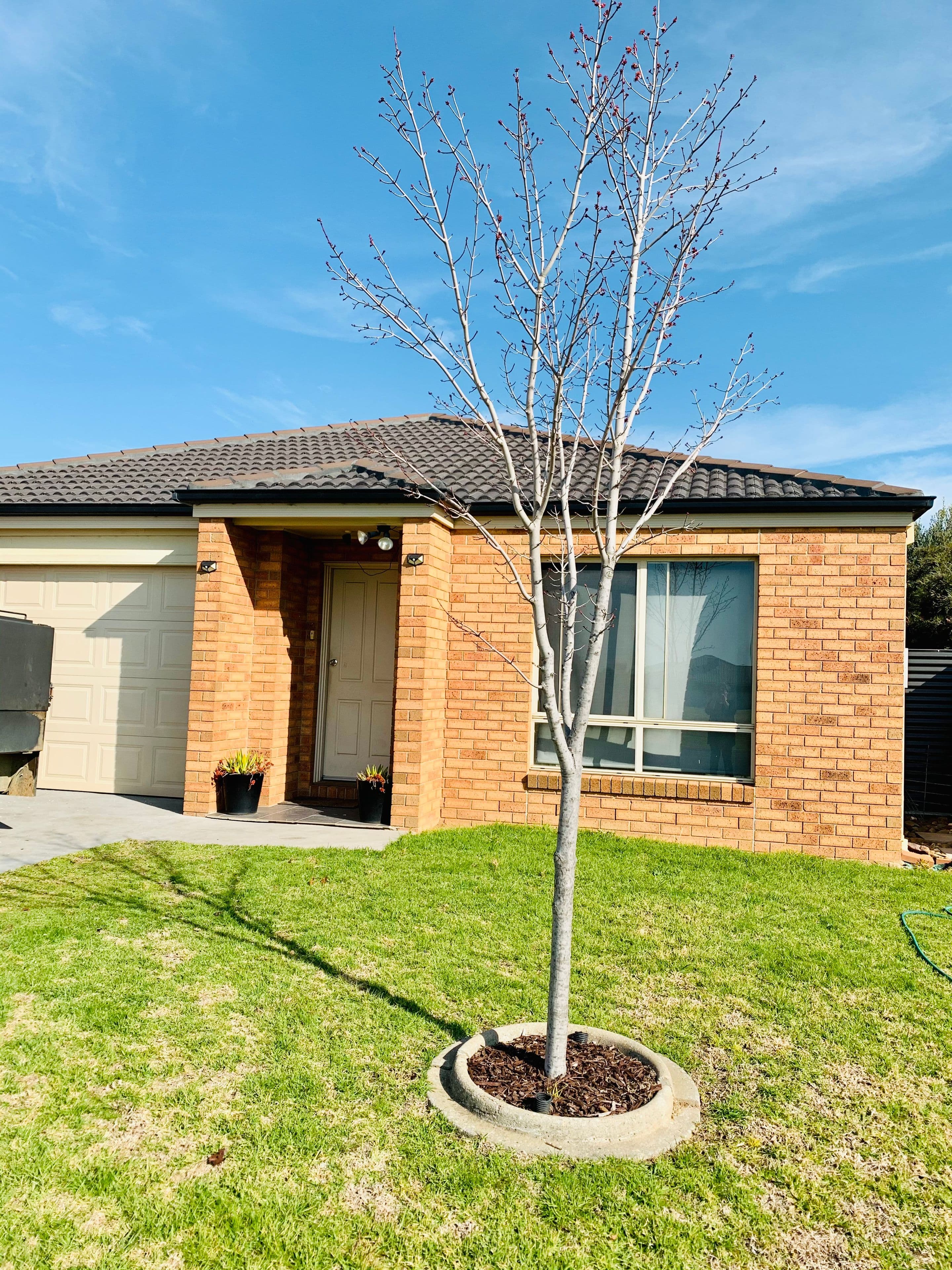 9 Jacob Wenke Drive, Walla Walla NSW 2659, Walla Walla - Image 1