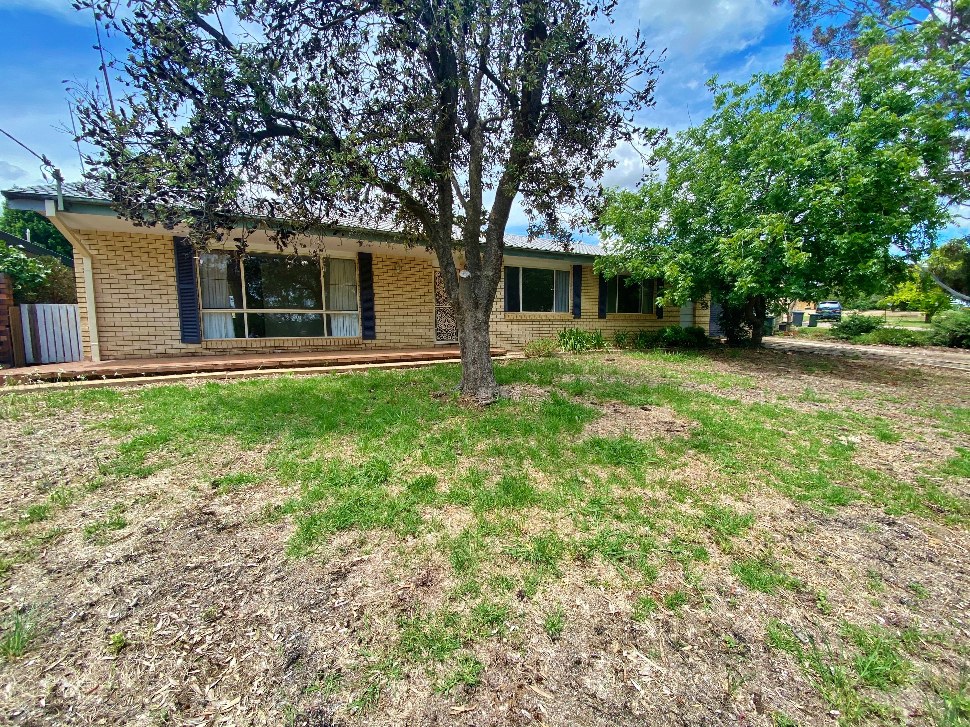 50 Templemore Street, Young NSW 2594, Young - Thumbnail 2