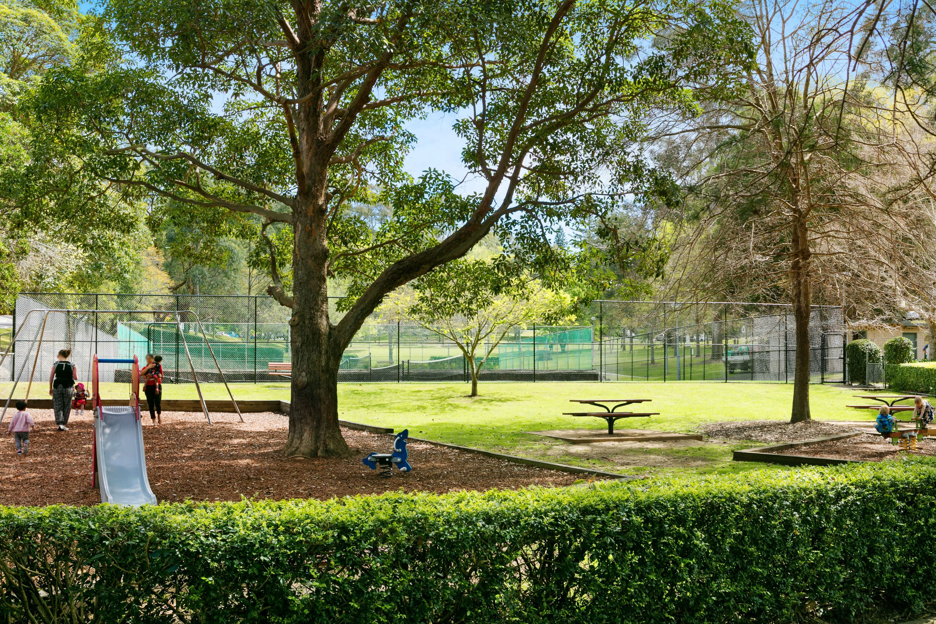 47 Grandview Street, Pymble NSW 2073, Pymble - Thumbnail 7
