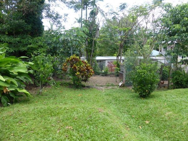 59 Mourilyan Road, East Innisfail QLD 4860, East Innisfail - Thumbnail 7