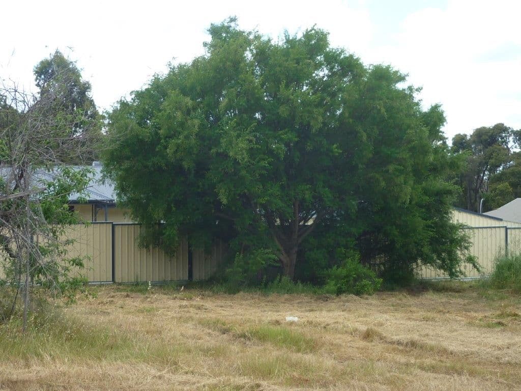 4 Truslove Street, WOOROLOO WA 6558, Wooroloo - Thumbnail 8