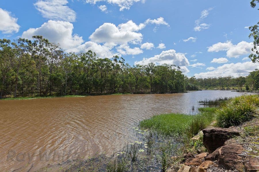 17 Lakeview Place, SPRINGFIELD LAKES QLD 4300, Springfield Lakes - Thumbnail 4