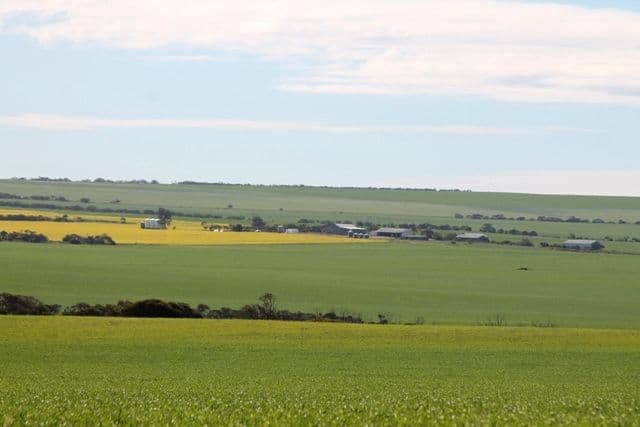 Section 21 Hundred of Roberts, WHARMINDA SA 5603, Wharminda - Image 1