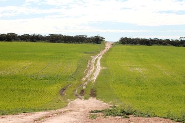 Section 21 Hundred of Roberts, WHARMINDA SA 5603, Wharminda - Thumbnail 4