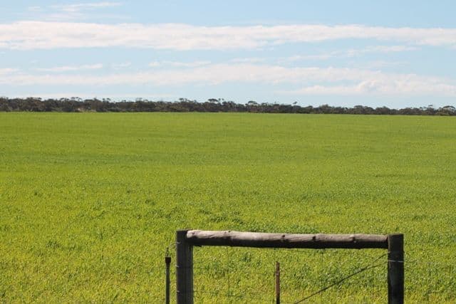 Section 21 Hundred of Roberts, WHARMINDA SA 5603, Wharminda - Thumbnail 5