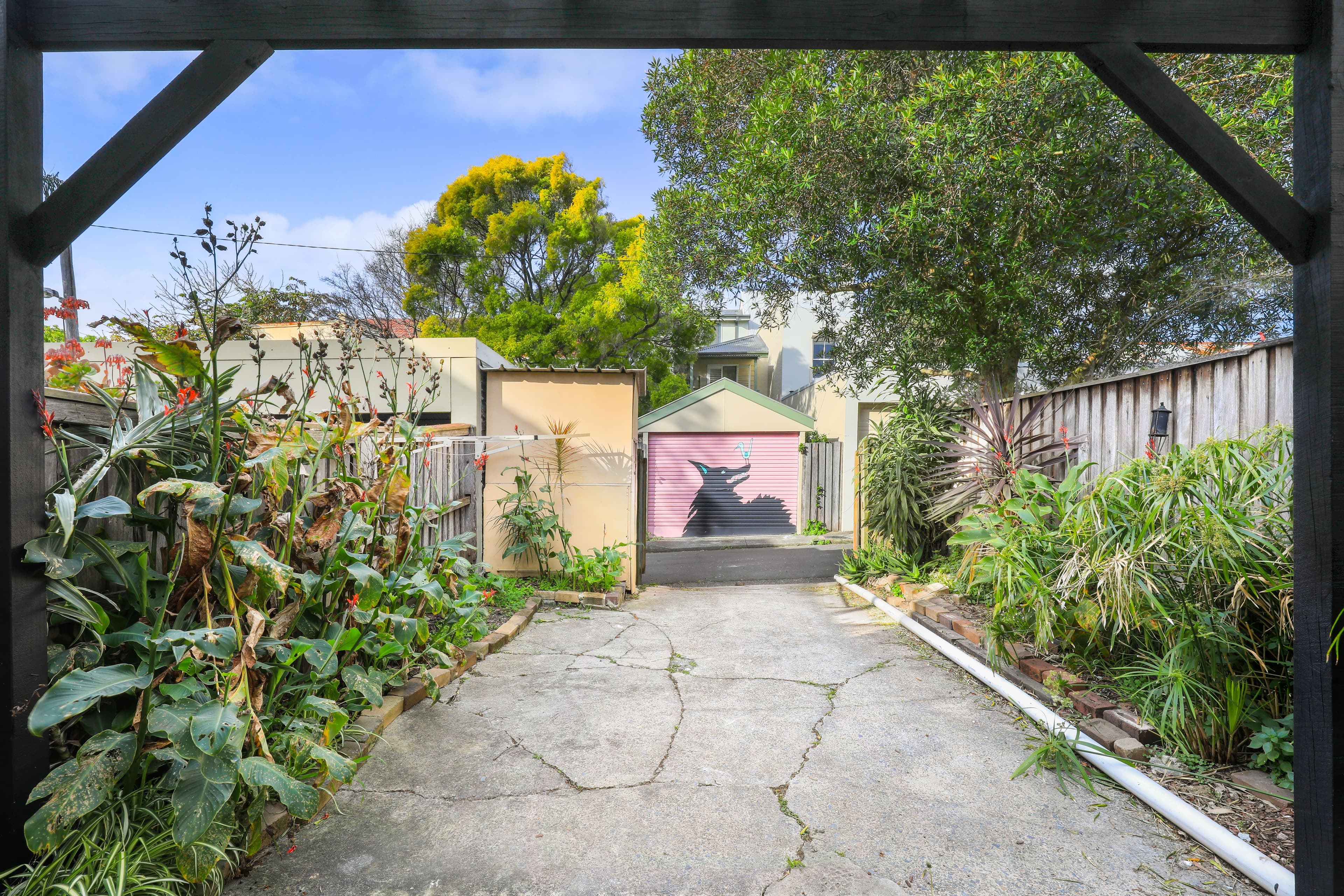 102 Probert Street, Newtown NSW 2042, Newtown - Thumbnail 5