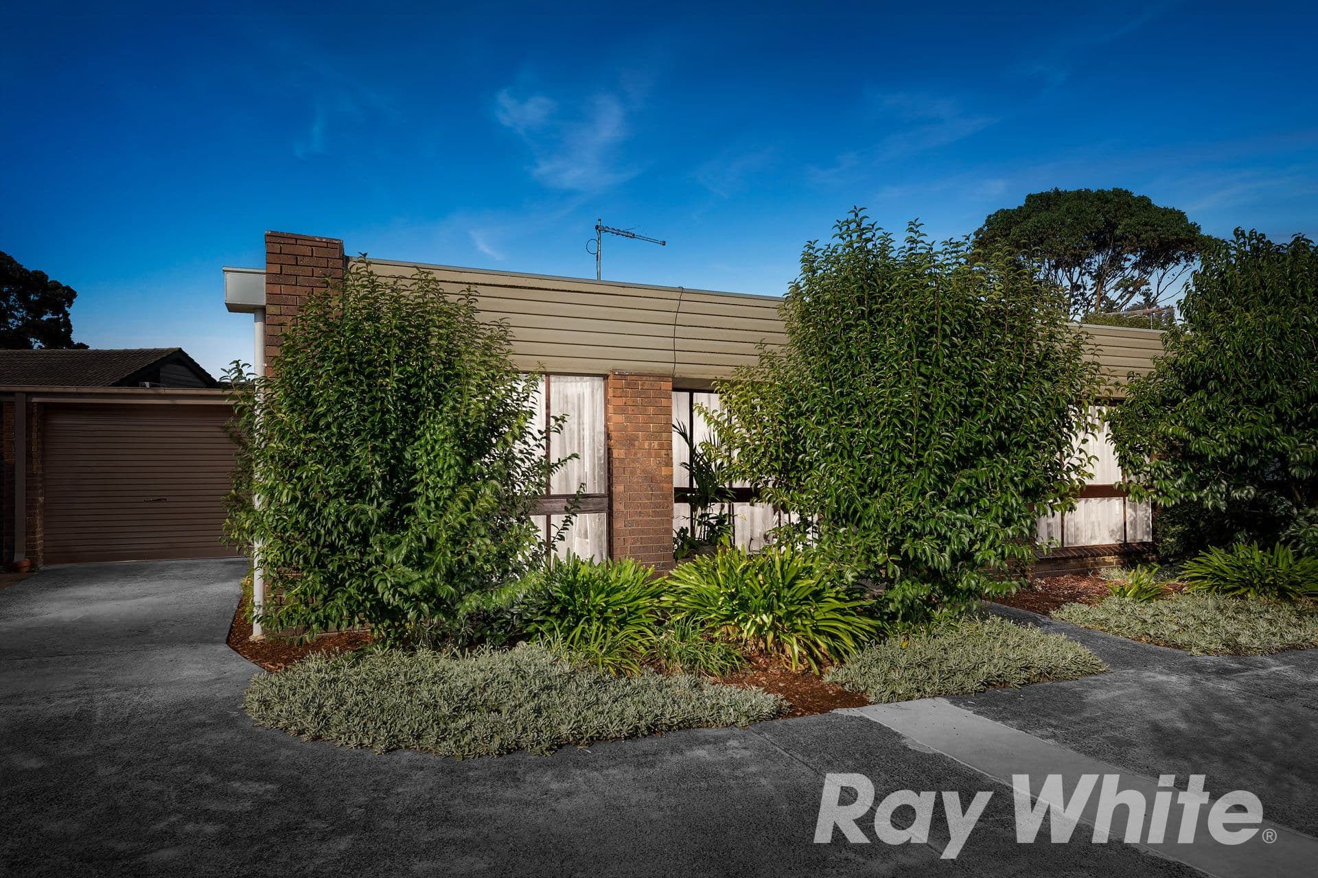 20-22 Elmhurst Road, Bayswater North VIC 3153, Bayswater North - Thumbnail 3