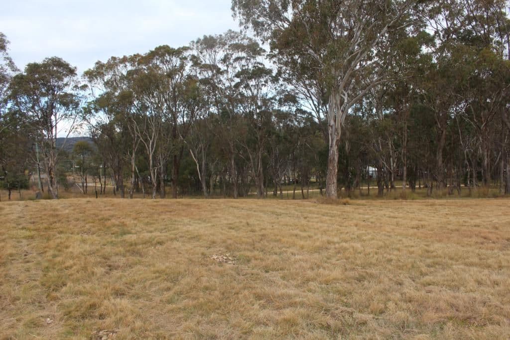 Lot 10 and 11 Ross Street, JENNINGS NSW 2372, Jennings - Image 1