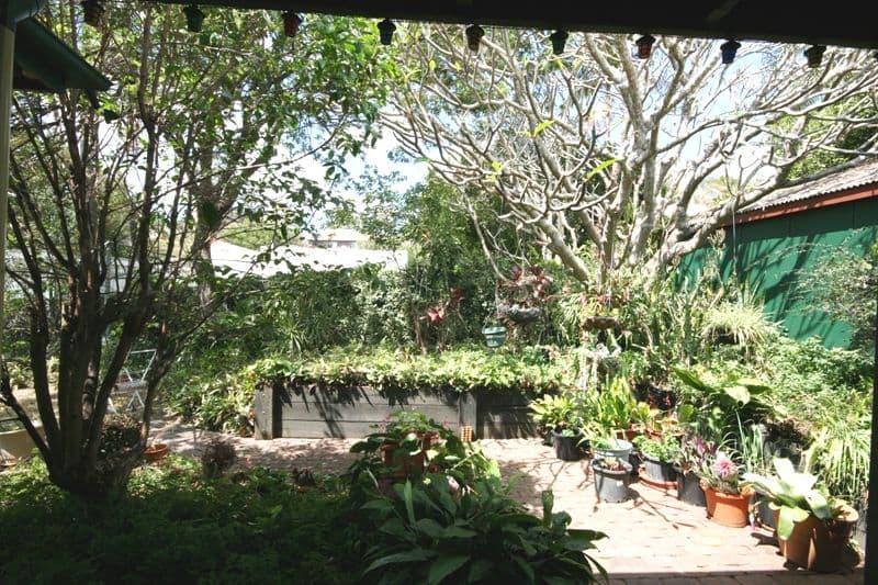 16 Smeaton Street, COORPAROO QLD 4151, Coorparoo - Thumbnail 2