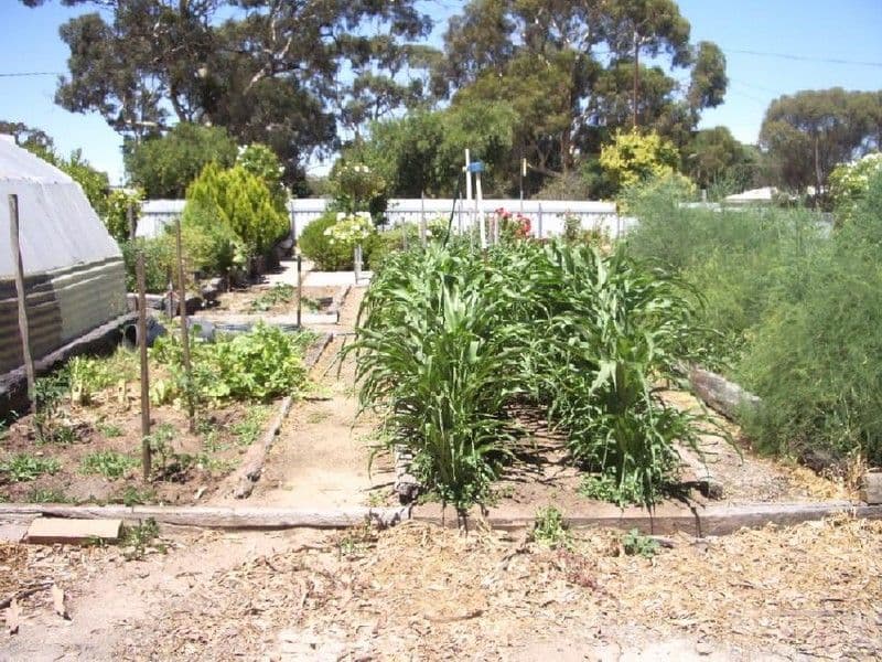 1-7 Fifth Street, BORDERTOWN SA 5268, Bordertown - Thumbnail 3