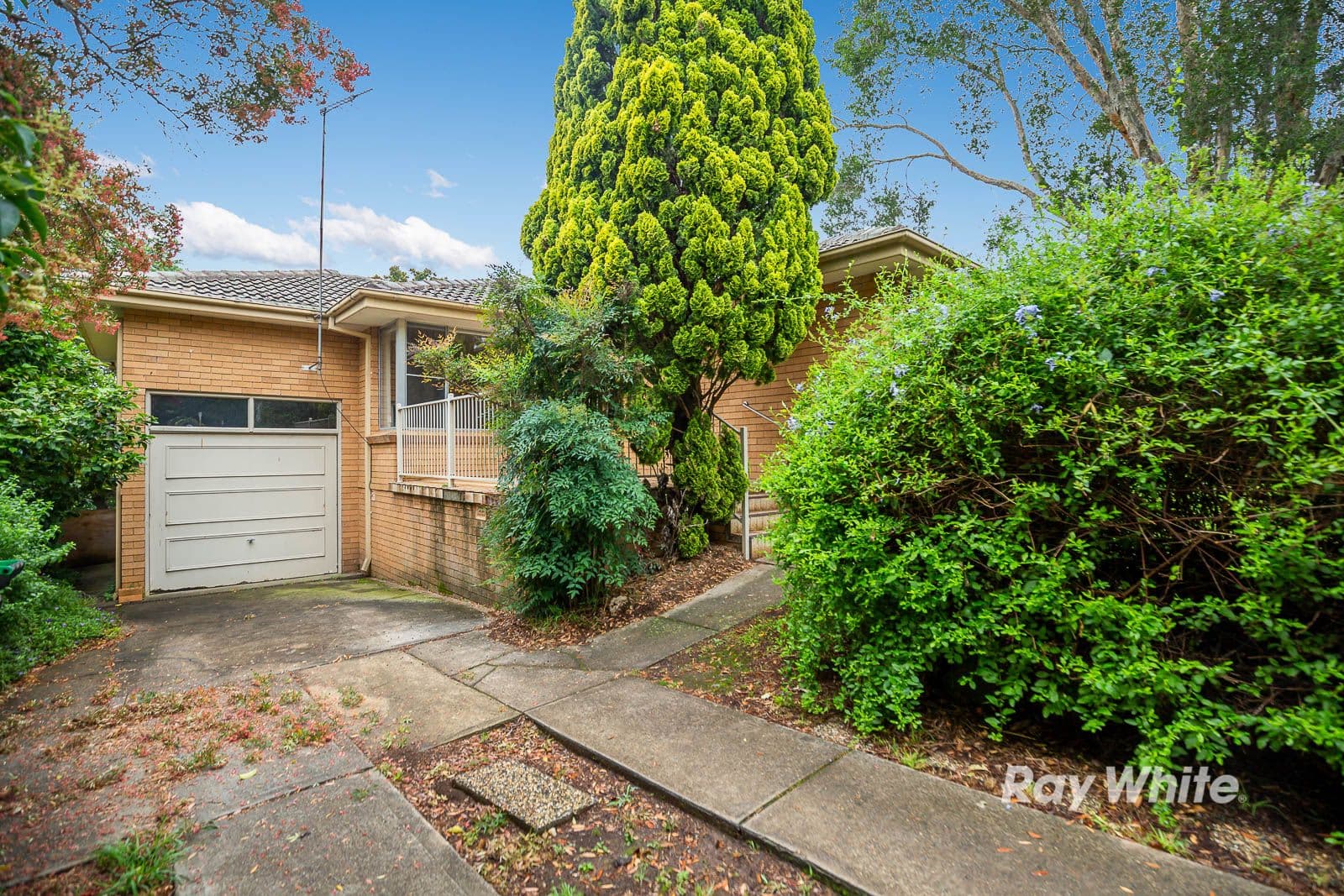 3 Gary Street, Castle Hill - Thumbnail 2