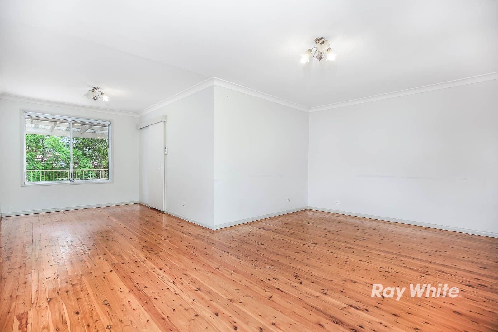 3 Gary Street, Castle Hill - Thumbnail 6