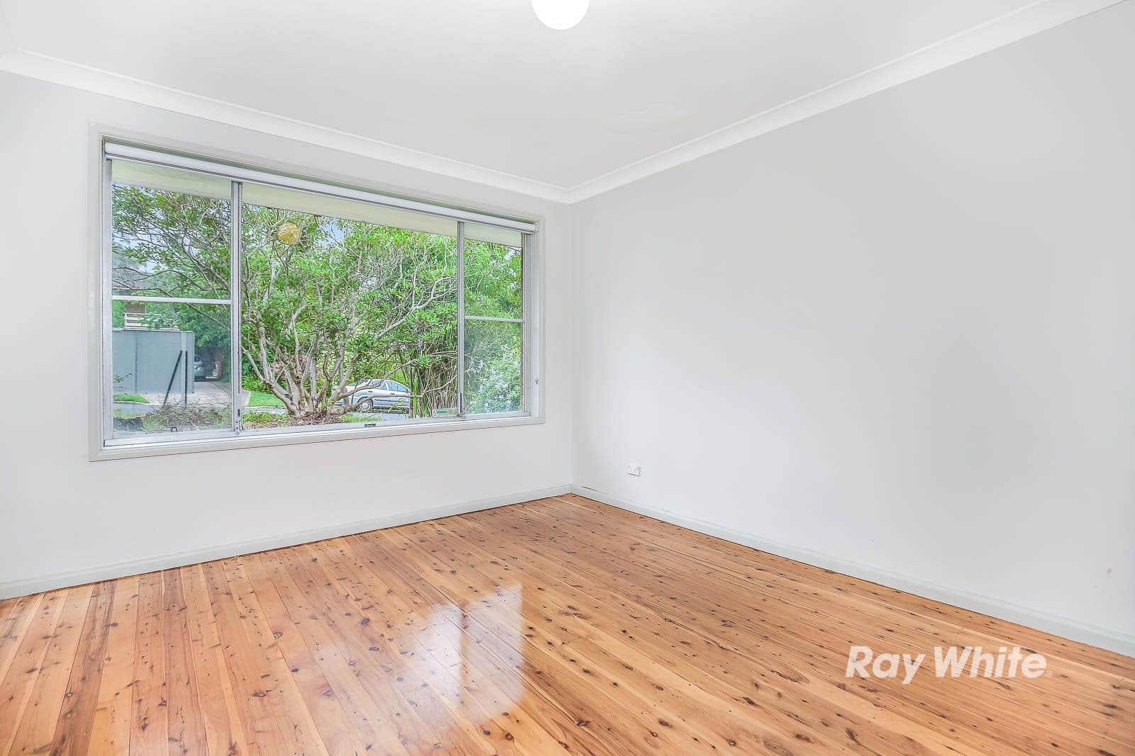 3 Gary Street, Castle Hill - Thumbnail 8