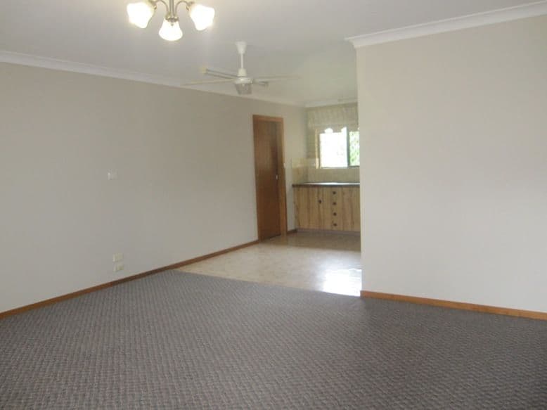 14 Clifford Street, GOONELLABAH NSW 2480, Goonellabah - Thumbnail 3