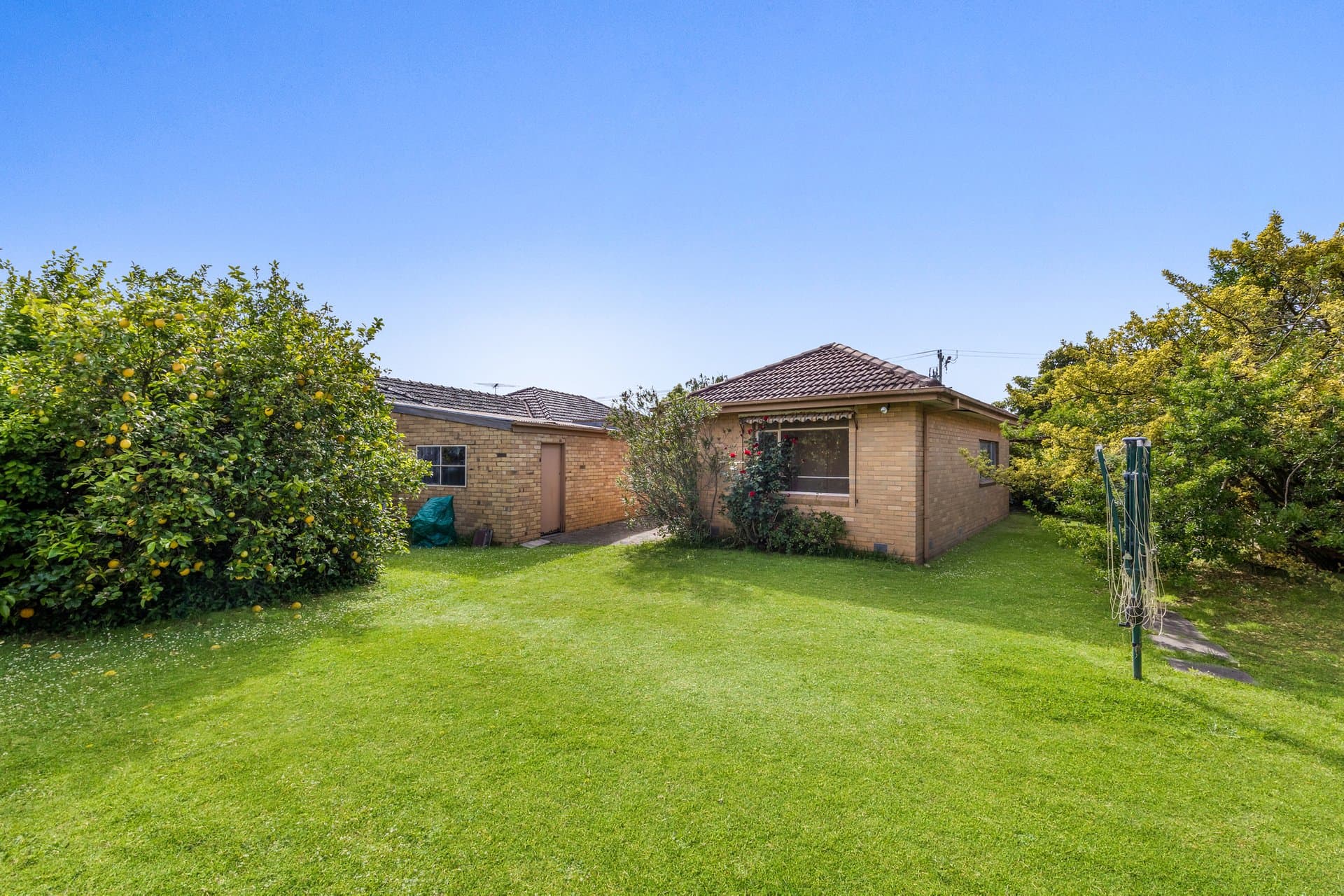 129 Brady Road, Bentleigh East - Thumbnail 6