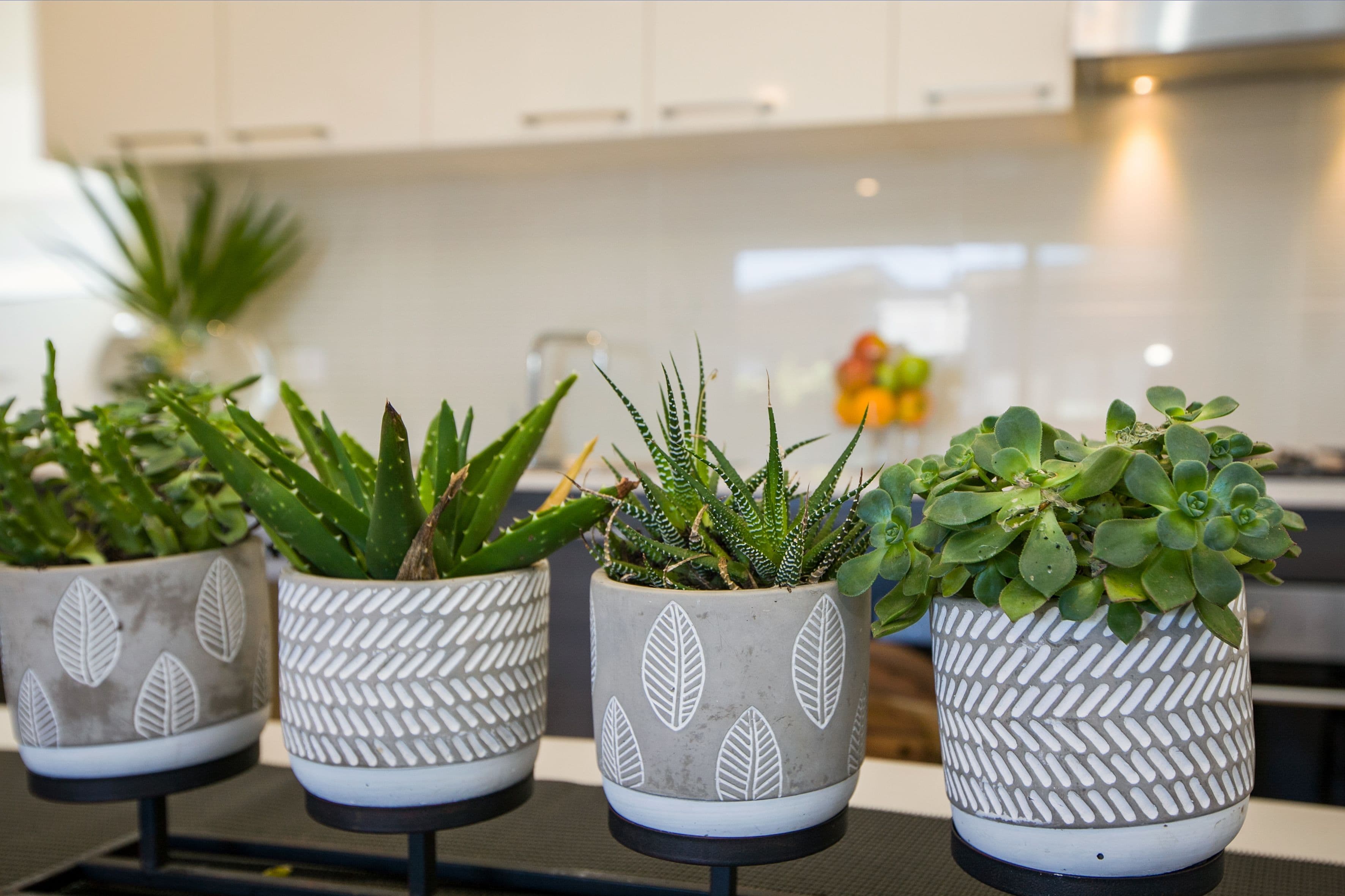 23 Aviary Grove, Thornbury VIC 3071, Thornbury - Thumbnail 7