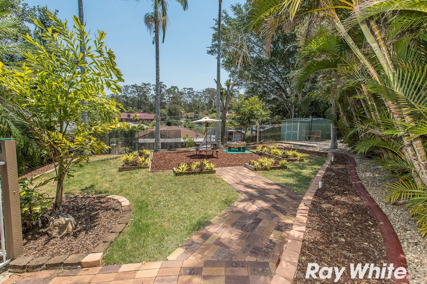 19 Brewster Court, Petrie QLD 4502, Petrie - Thumbnail 5