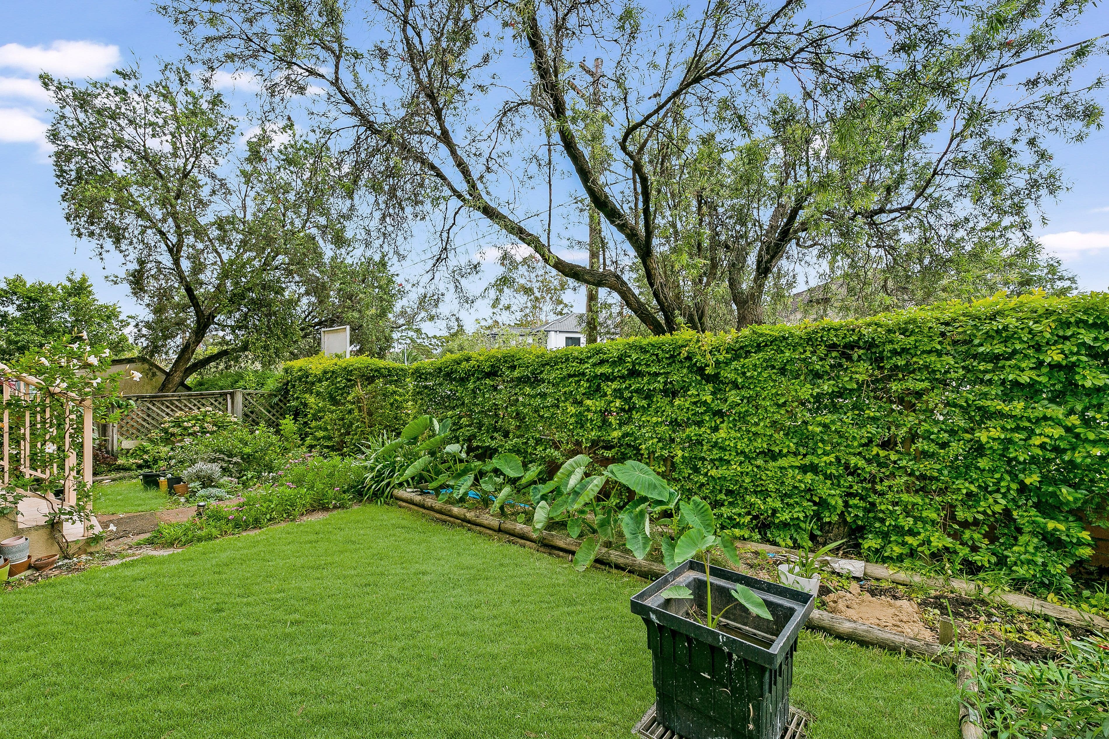 15-17 Apsley Street, Penshurst NSW 2222, Penshurst - Thumbnail 2