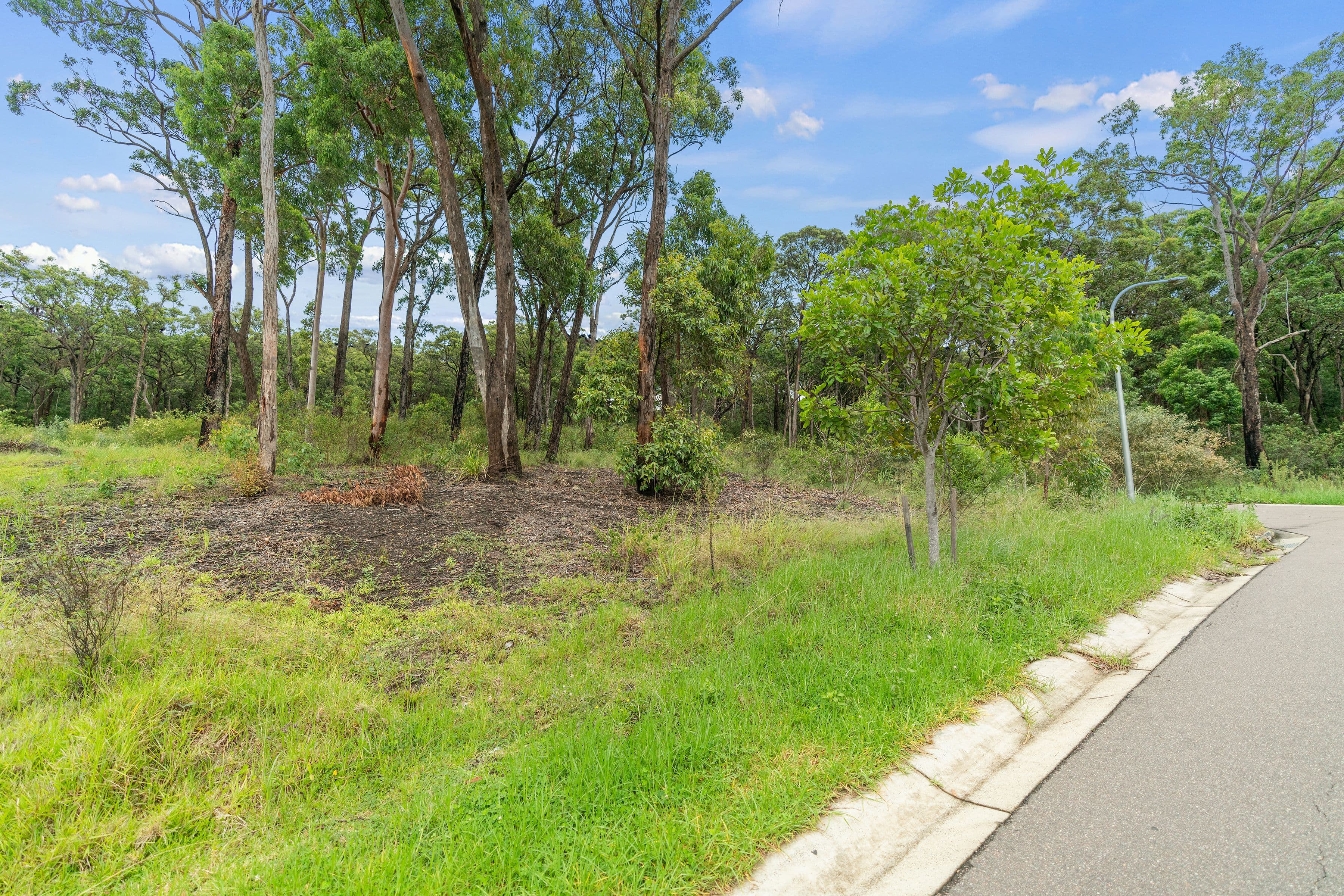26 Norman Avenue, Sunshine NSW 2264, Sunshine - Thumbnail 8