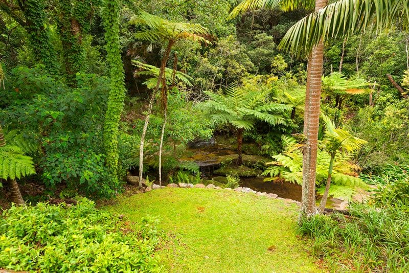1 The Outpost, Northbridge NSW 2063, Northbridge - Thumbnail 8