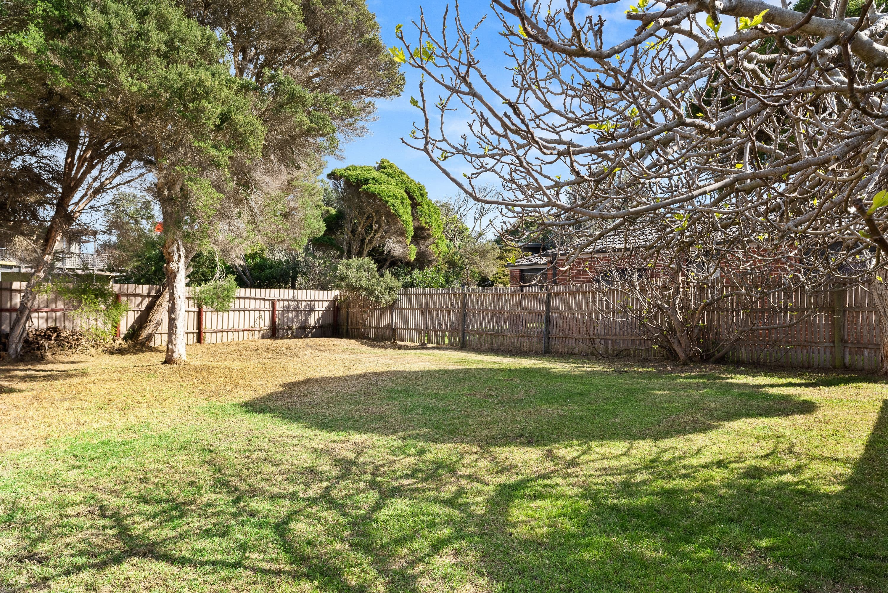 156 Vista Drive, Cape Woolamai VIC 3925, Cape Woolamai - Thumbnail 4