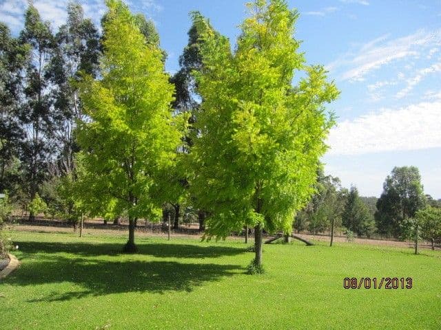 Lot 15 Rosella Close, NANNUP WA 6275, Nannup - Thumbnail 2