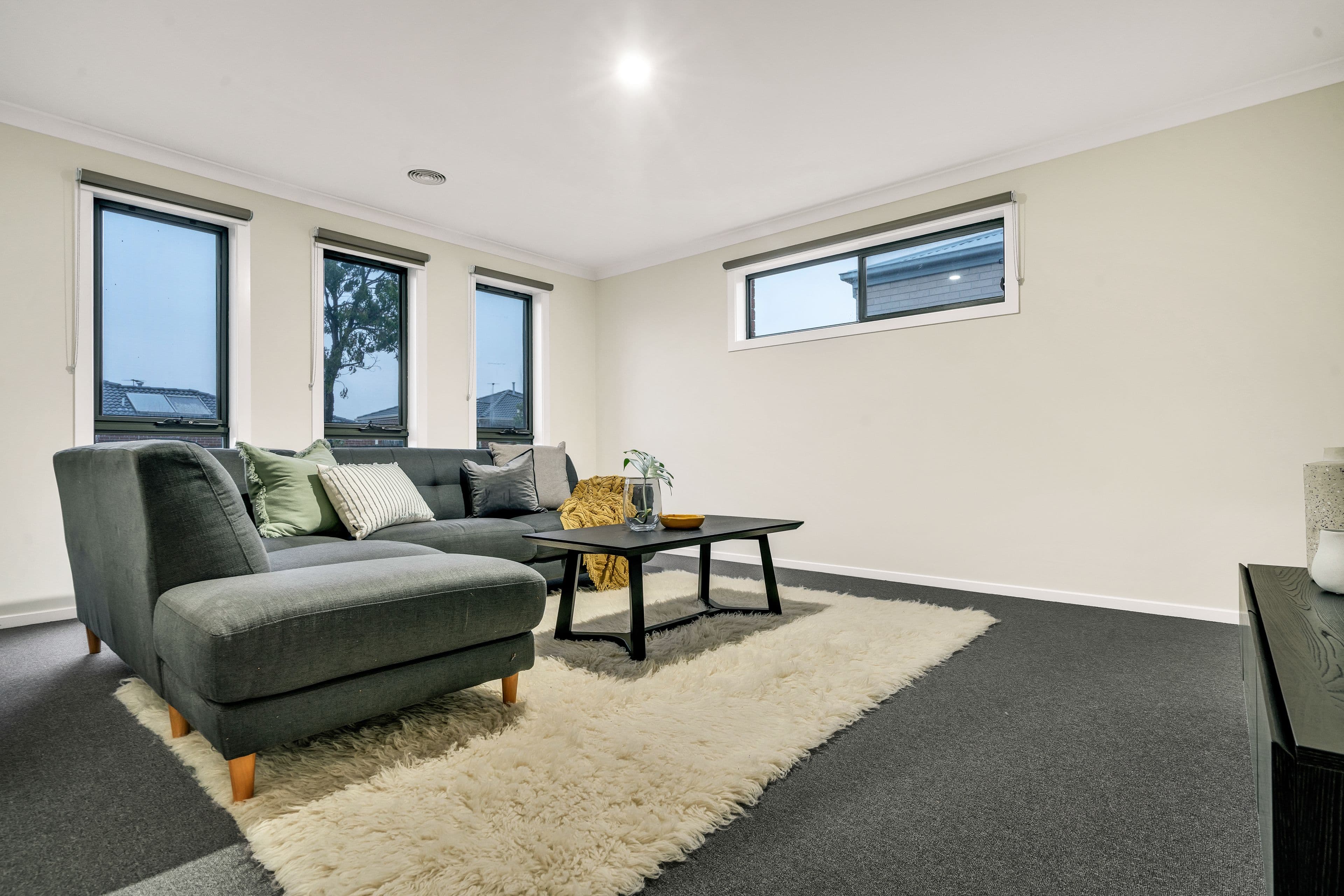 12 Leveque Loop, Craigieburn VIC 3064, Craigieburn - Thumbnail 3