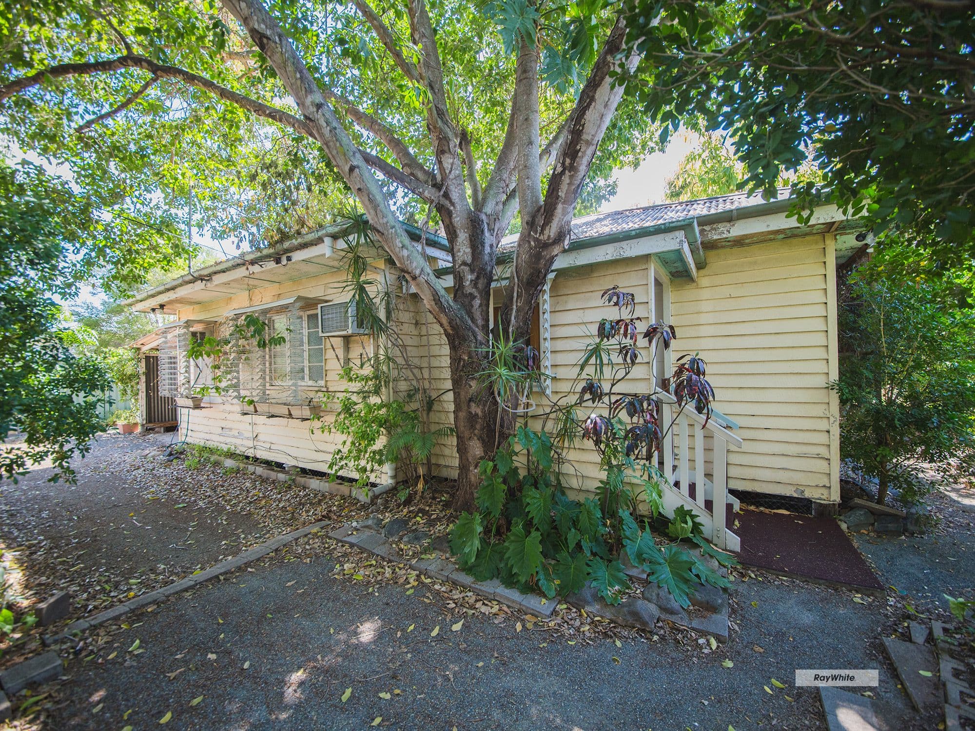 262 Hutton Street, Berserker QLD 4701, Berserker - Thumbnail 2