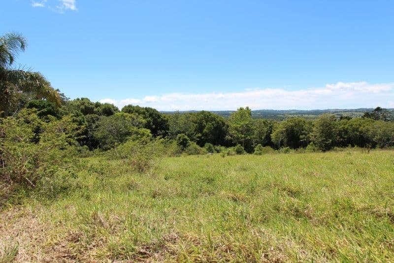 1585 Bangalow Road, CLUNES NSW 2480, Clunes - Thumbnail 4