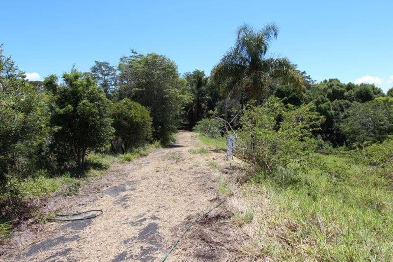 1585 Bangalow Road, CLUNES NSW 2480, Clunes - Thumbnail 5
