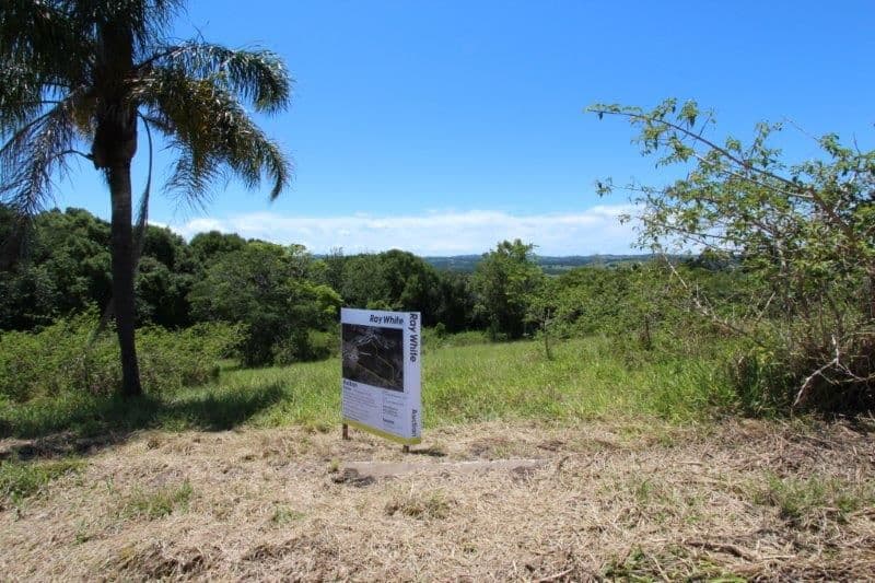 1585 Bangalow Road, CLUNES NSW 2480, Clunes - Thumbnail 7
