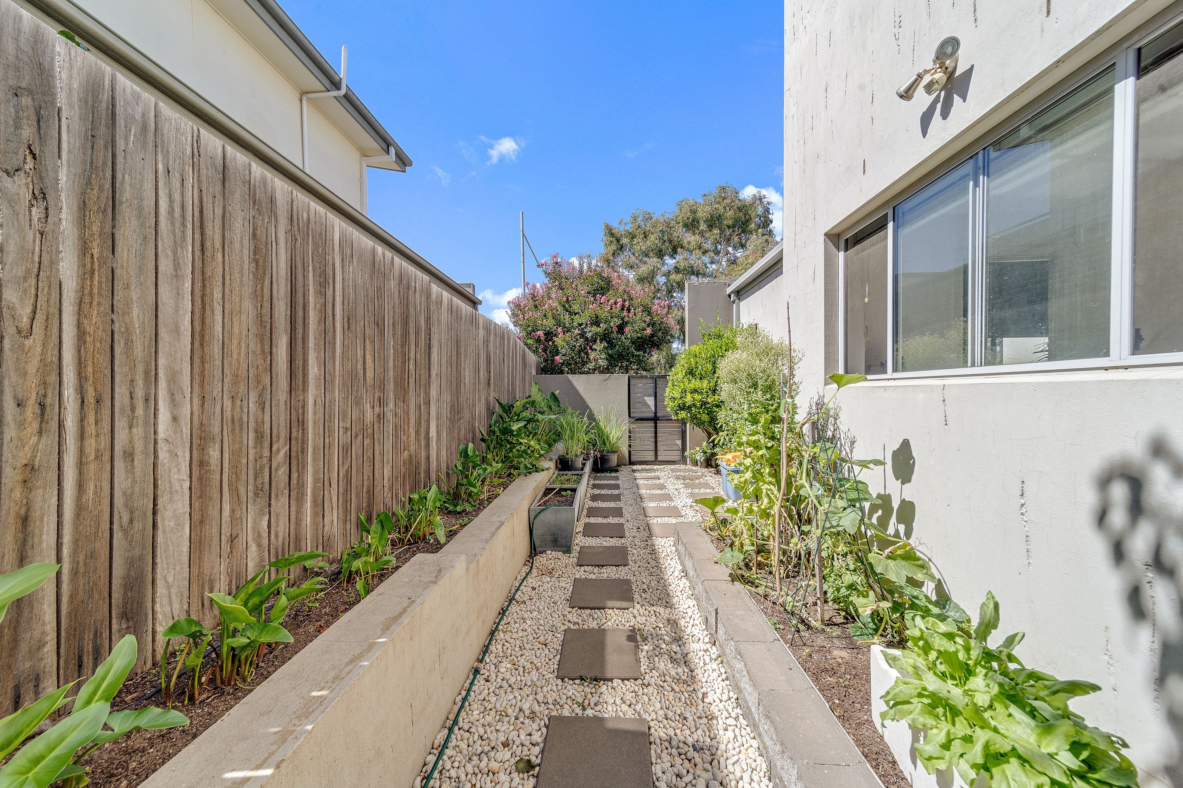 109 Oodgeroo Avenue, Franklin ACT 2913, Franklin - Thumbnail 5