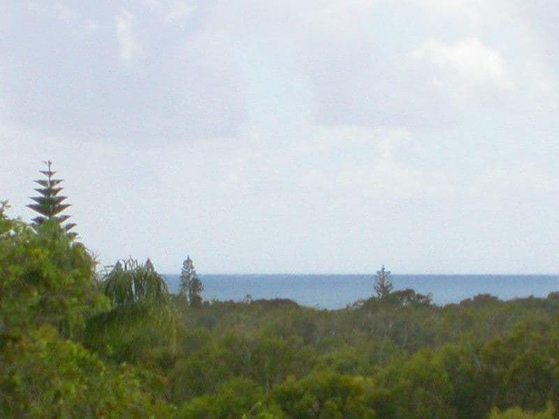 17 Beerburrum Street, DICKY BEACH QLD 4551, Dicky Beach - Thumbnail 3