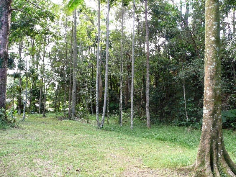 12 Tuckeroo Lane, TANGLEWOOD NSW 2488, Tanglewood - Thumbnail 4