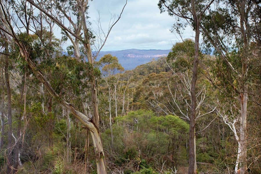 23 Sylvania Street, MOUNT VICTORIA NSW 2786, Mount Victoria - Thumbnail 2